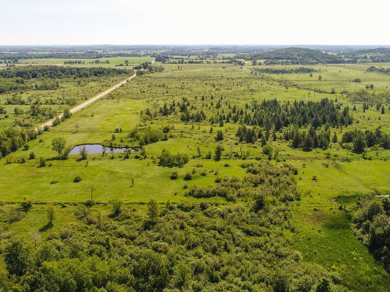 Hunting Land in Waupaca County WI, Farm for Sale in Wisconsin, 195027