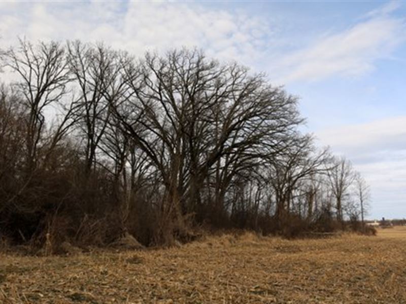 Incredible Hunting Property : Edgerton : Dane County : Wisconsin