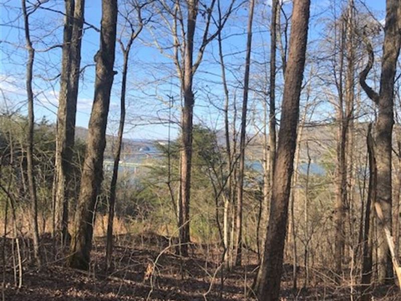 8+/- Acres Lake View Property : Guild : Marion County : Tennessee
