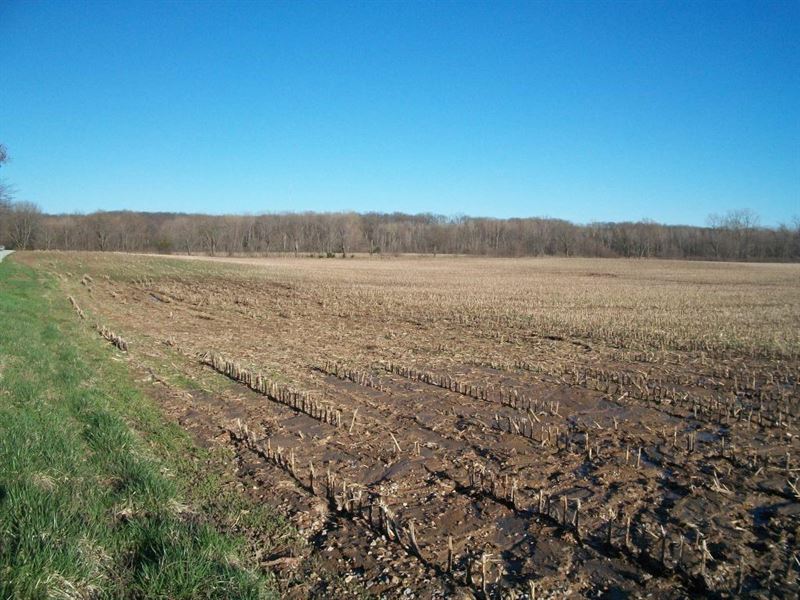 Highly Tillable Row Crop Farm Clark : Kahoka : Clark County : Missouri