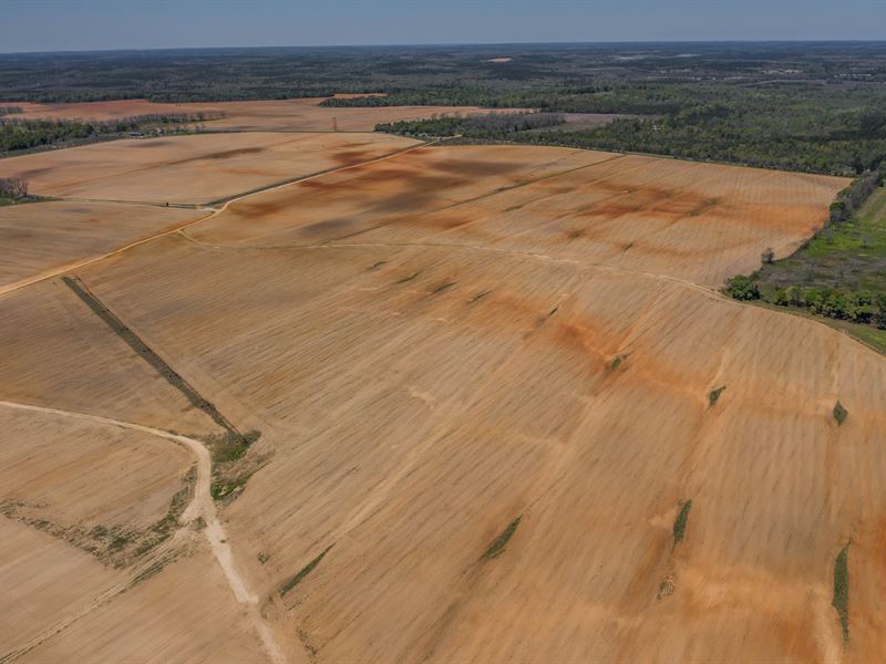 Investment Grade Irrigated Farm : Oglethorpe : Macon County : Georgia