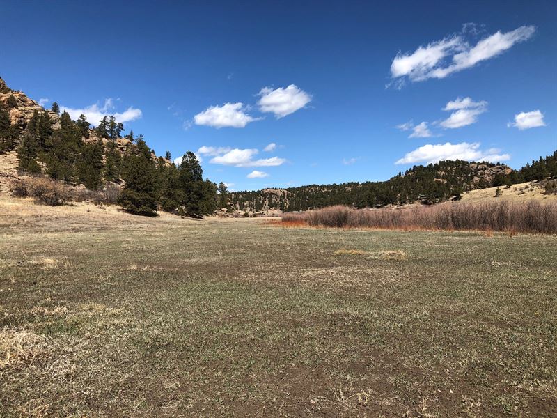 5.73 Acres Vacant Land Stream Farm for Sale in Florissant, Teller