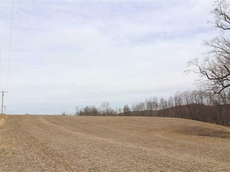 Cr 55 Tract 2, 30 Acres : Brush Creek : Jefferson County : Ohio