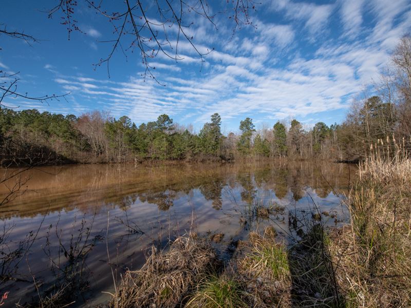 Cattle Farm with Pond : Yanceyville : Caswell County : North Carolina