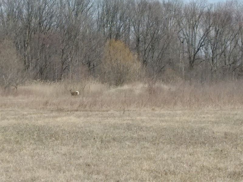 Farm Land For Sale Chesterfield at John Sims blog