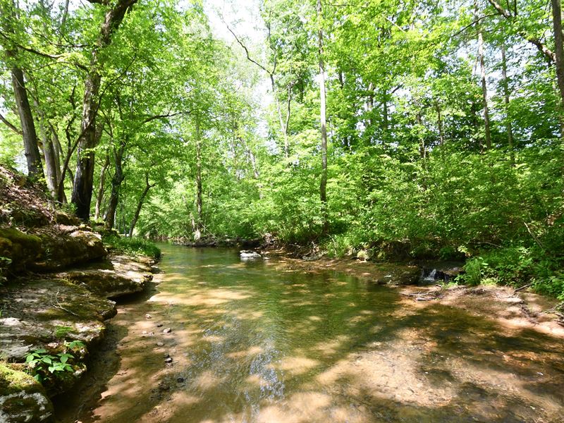 Picturesque Farm On Hurricane Creek Farm for Sale in Waynesboro