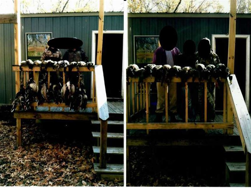 Rare 183 Green Timber Duck Lea, Farm for Sale in Arkansas, 195730