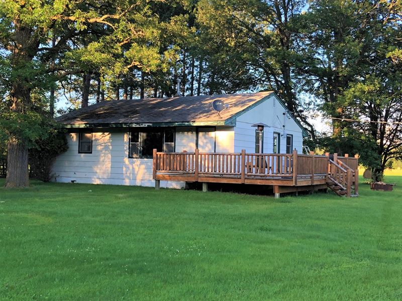 Cabin in Northern Mn, Great Area Farm for Sale in Littlefork
