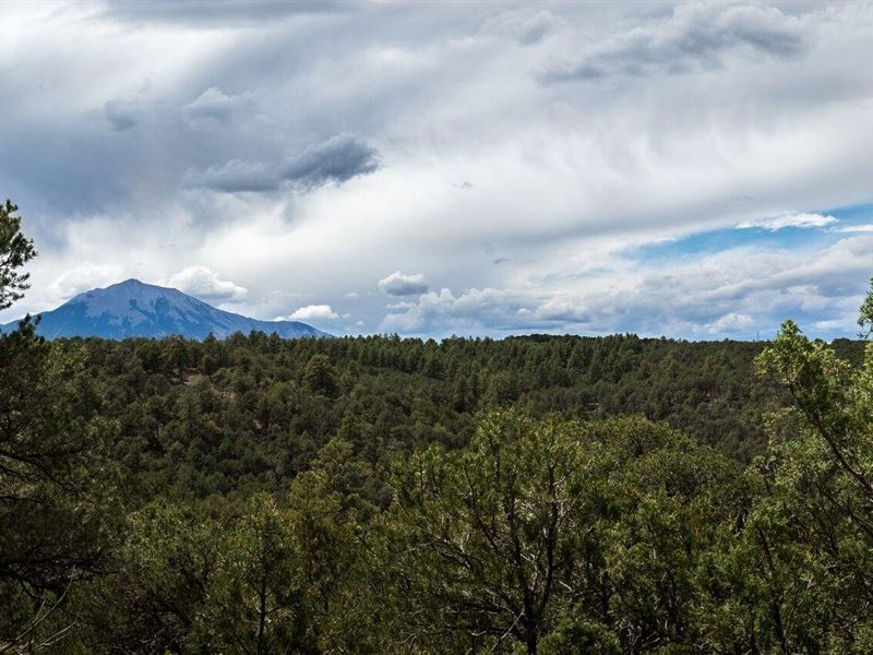 56 Blackhawk Ranch : Walsenburg : Huerfano County : Colorado