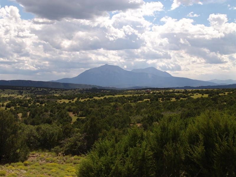 78 Silver Spurs Ranch : Walsenburg : Huerfano County : Colorado