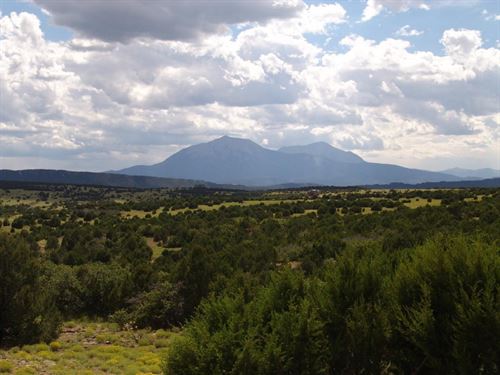 78 Silver Spurs Ranch : Walsenburg : Huerfano County : Colorado