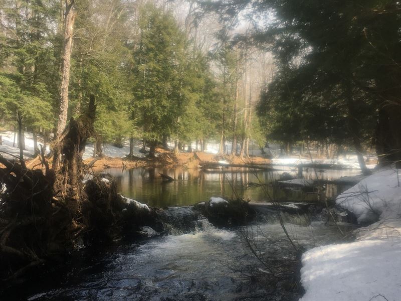 On Beaver Dam Brook : Orwell : Oswego County : New York
