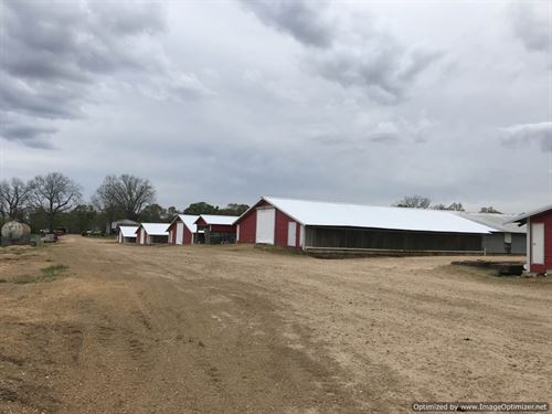 Copiah County Mississippi Poultry Farms For Sale Farmflip