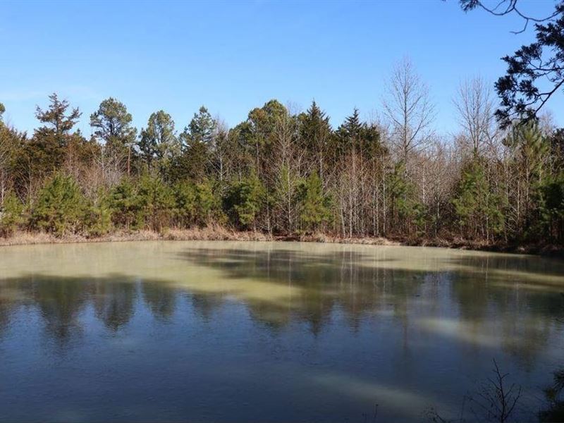 Van Buren 6.89 : Shirley : Van Buren County : Arkansas