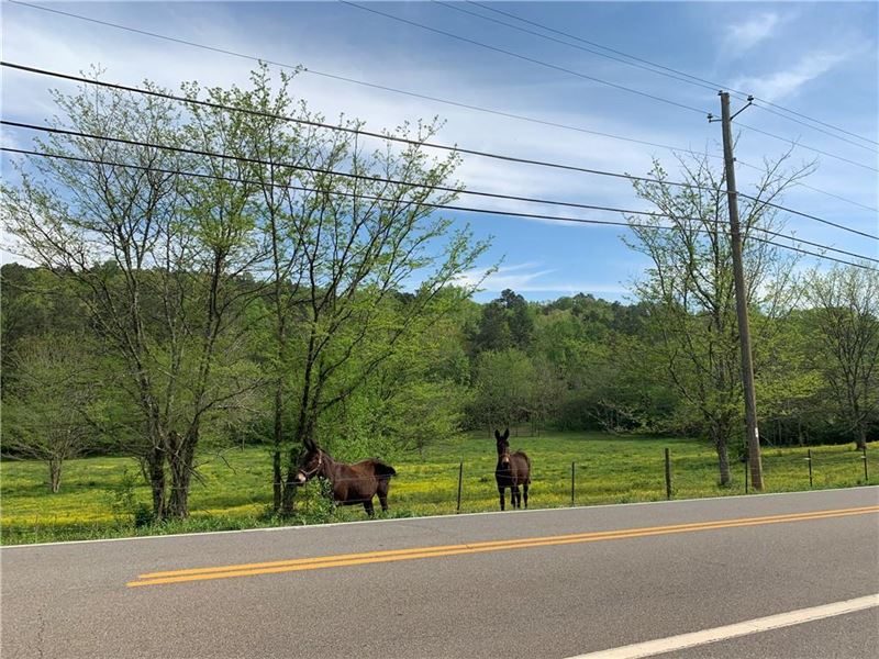 41+ Acres, Ball Ground, GA Farm for Sale in Ball Ground, Cherokee