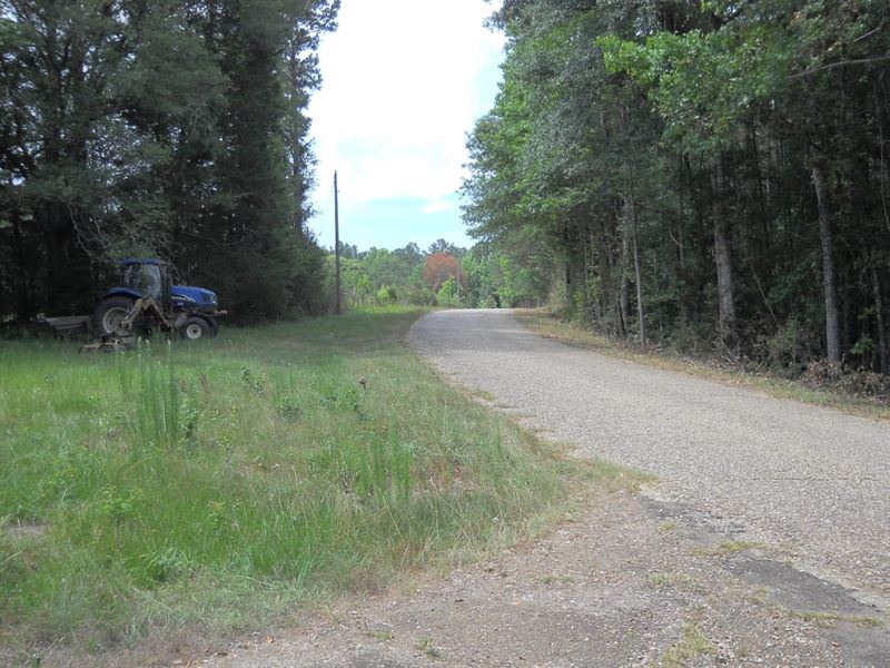 37.41 Acres, Franklin County : McCall Creek : Franklin County : Mississippi