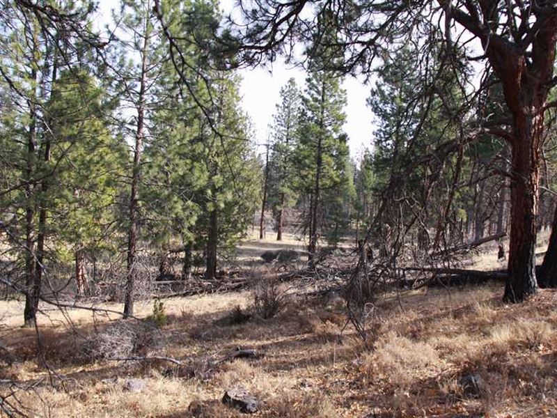 Laubacher Recreational Property, Farm for Sale in Oregon, 196390