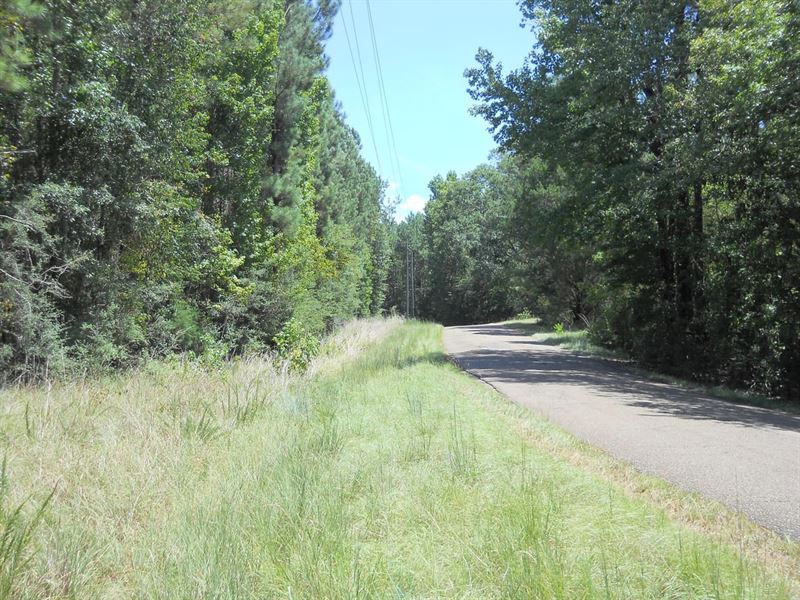 6.385 Acre Beautiful Housesite : Meadville : Franklin County : Mississippi