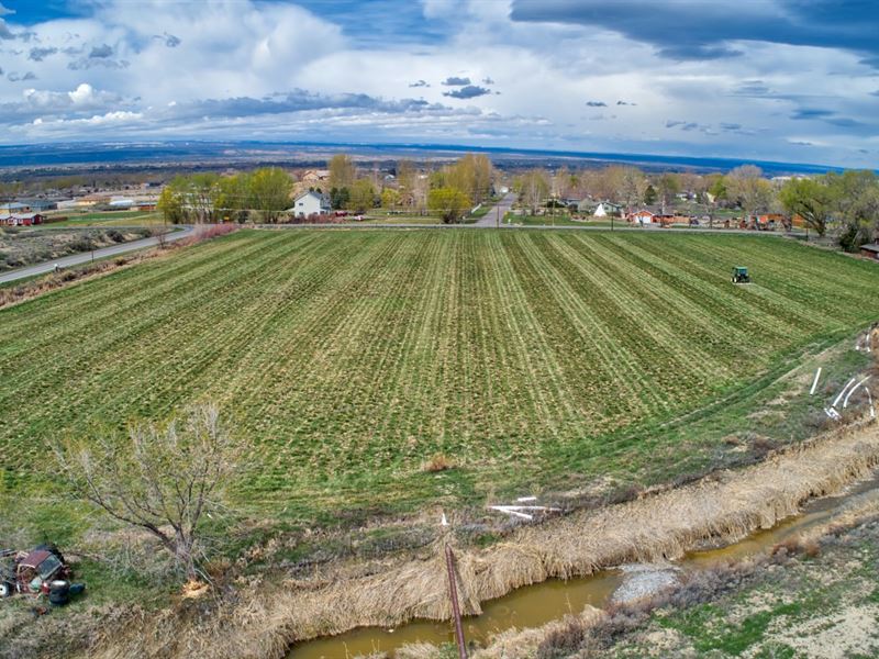 Perfect Small Farm Acreage Western : Montrose : Montrose County : Colorado