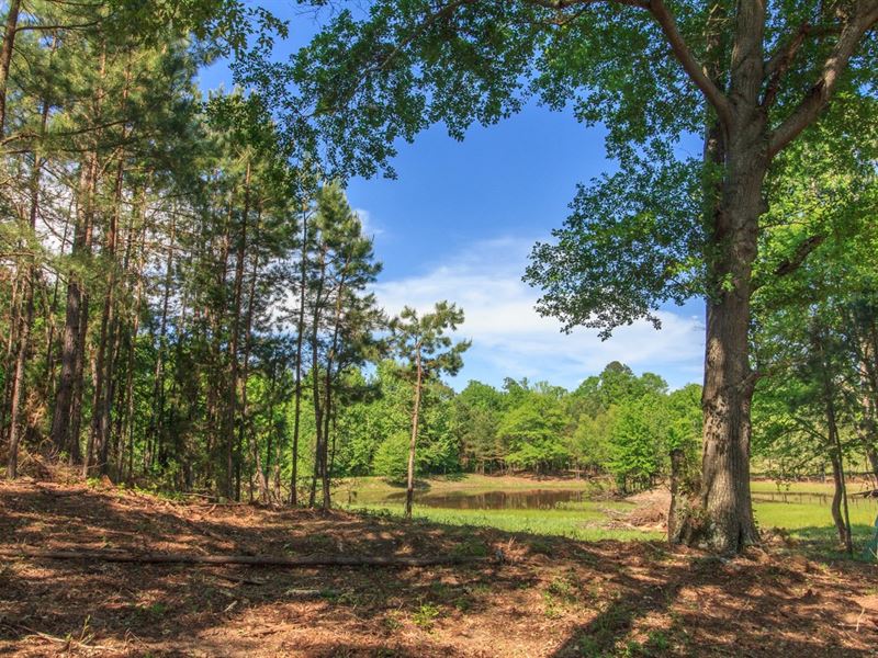 Land, West Tennessee Acreage Pond Farm for Sale in Bethel Springs, McNairy County, Tennessee