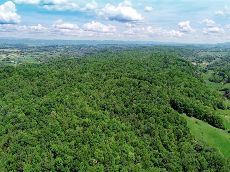 Riverfront Nature Retreat Glade, Farm for Sale in Virginia, 196463