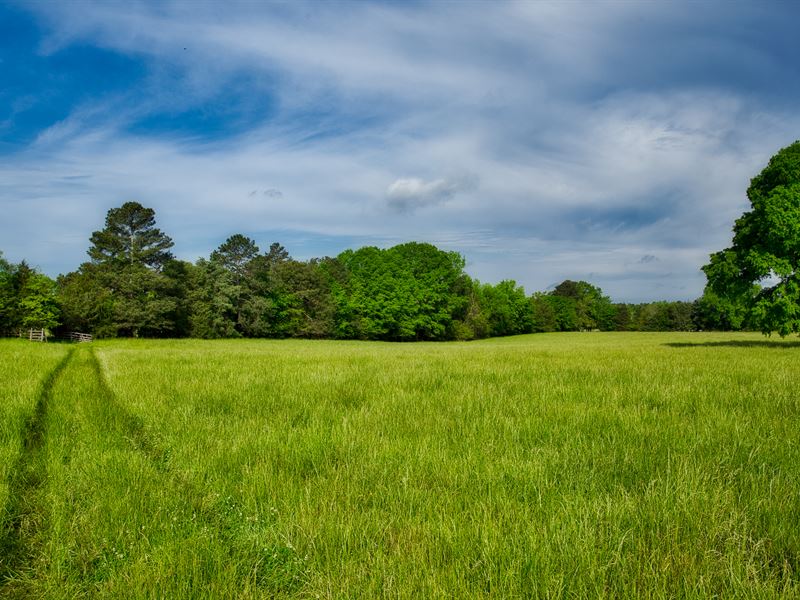Saluda Farm Acreage : Saluda : Saluda County : South Carolina