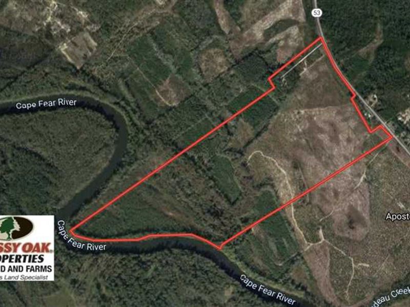 220 Acres of Hunting And Timber LA Farm for Sale in Kelly, Bladen