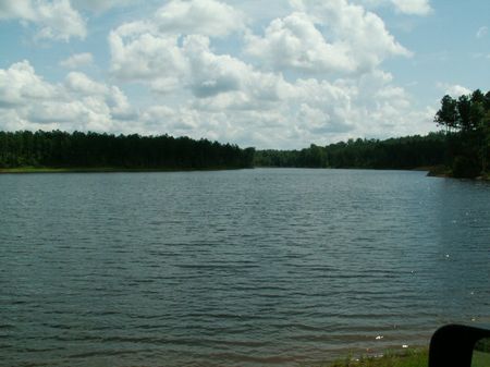 583.79 Acres On Old Durand Rd. : Greenville : Meriwether County : Georgia