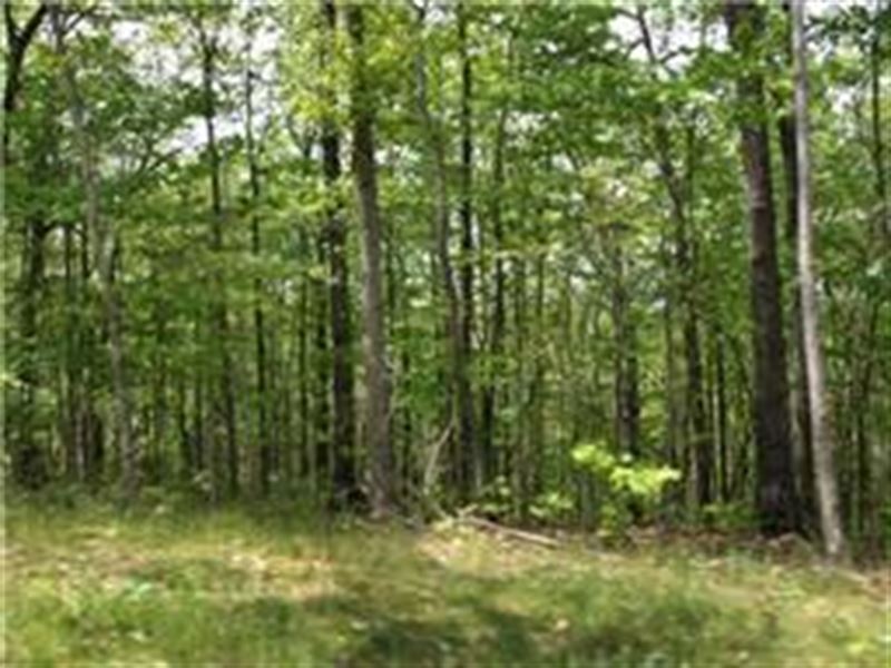 5+ Ac The Preserve At Laurel Creek : Wilder : Fentress County : Tennessee