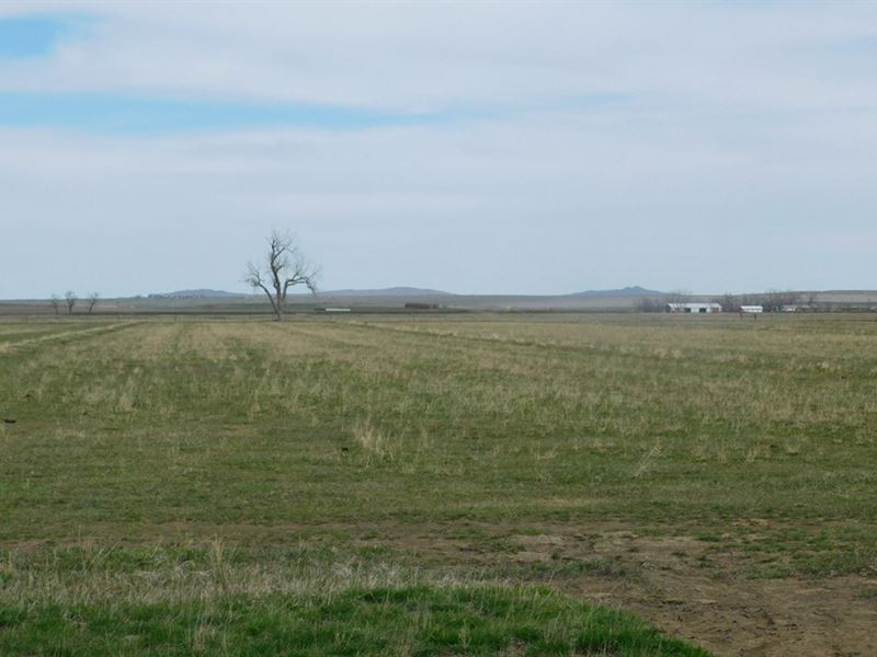 Kessel Irrigated Land : Nisland : Butte County : South Dakota