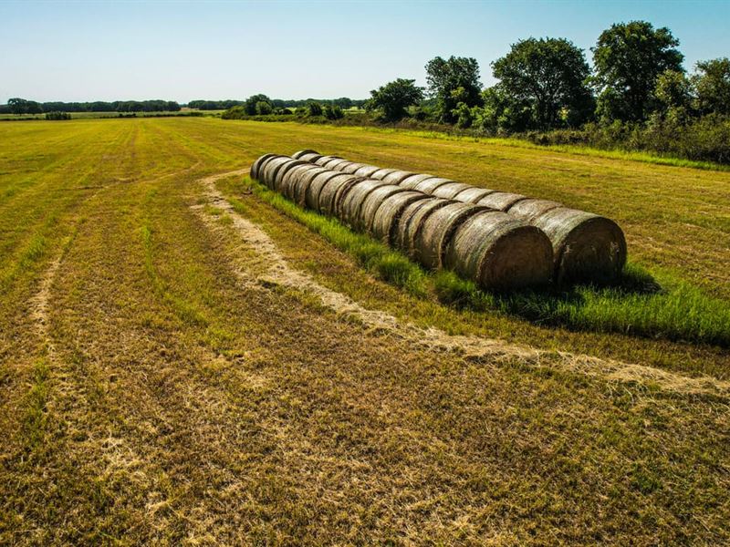 155 Acres Cisco TX : Cisco : Eastland County : Texas