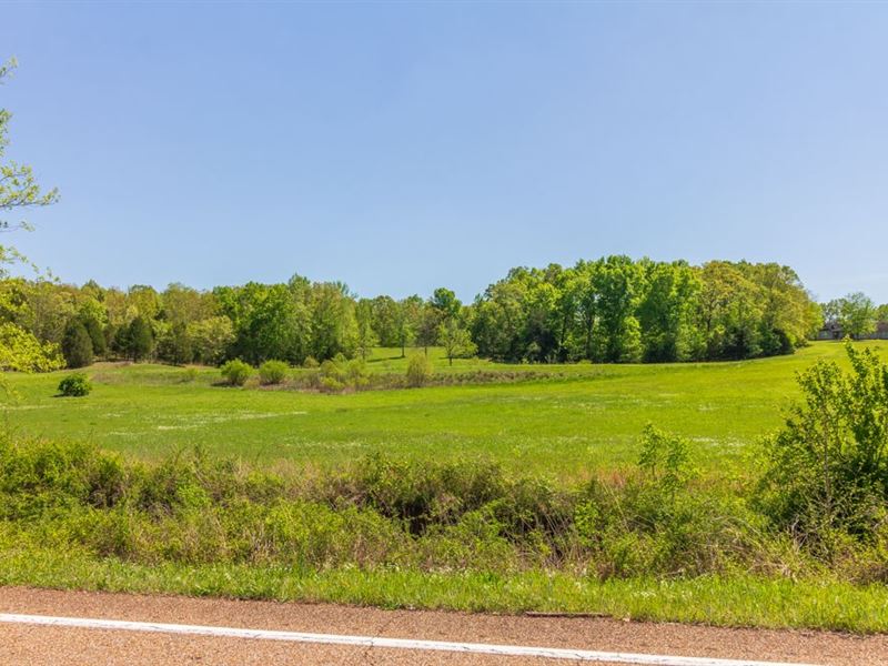 Over 11 Acres Hwy 57 Michie, TN, Farm for Sale in Tennessee, 196931