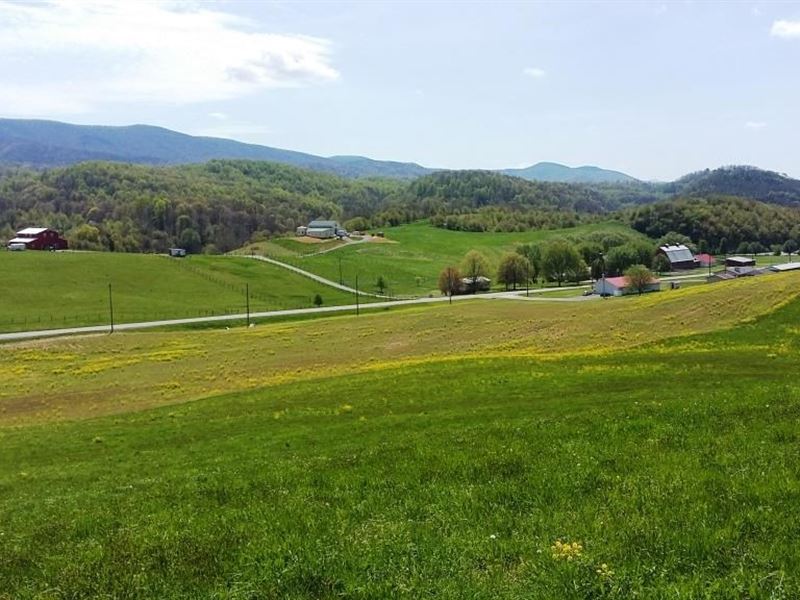 Open Farmland in Smyth County, VA : Rural Retreat : Smyth County : Virginia