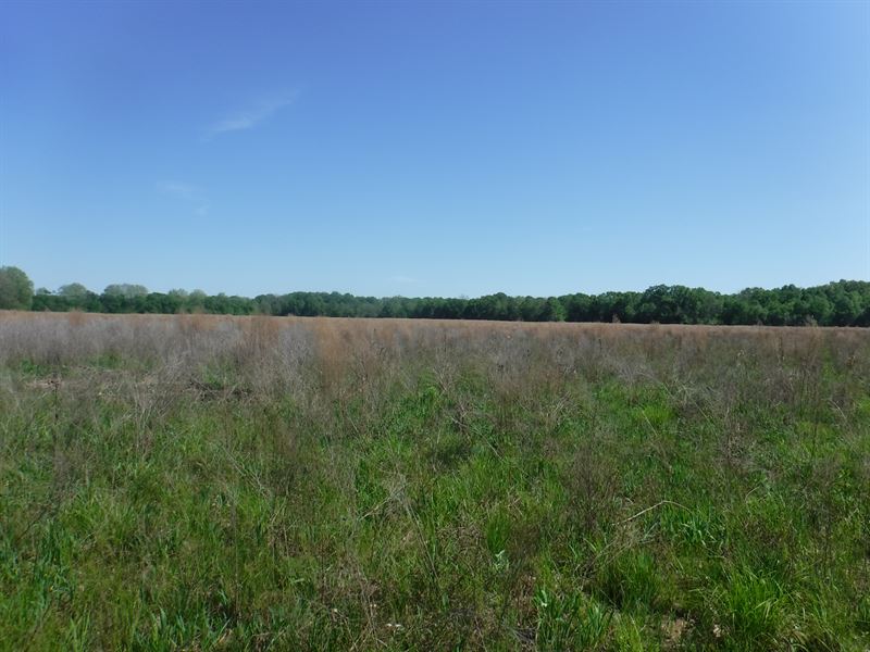 75 Acres Of Farmland In Hinds Co Ms Farm for Sale in Bolton, Hinds
