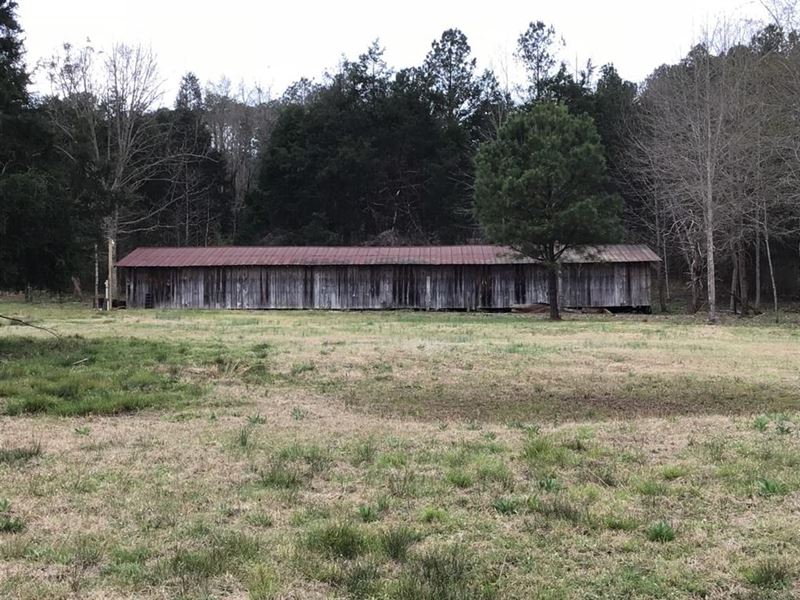 Hunting Land with Barn and Creek : Centreville : Bibb County : Alabama