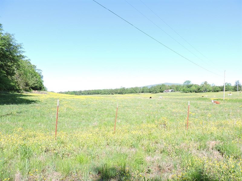 Prime Pasture Land Cattle Poultry : Waldron : Scott County : Arkansas