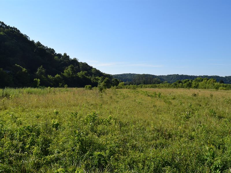 Unrestricted Tenn Land / Bybee Farm for Sale in Bybee, Cocke County