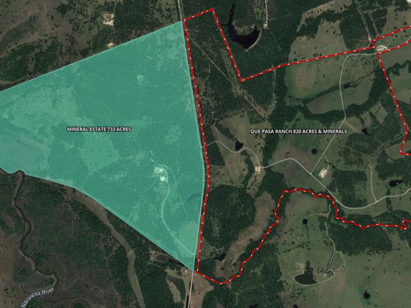 820 Game Ranch & 1533 Mineral Acres : Anderson : Grimes County : Texas
