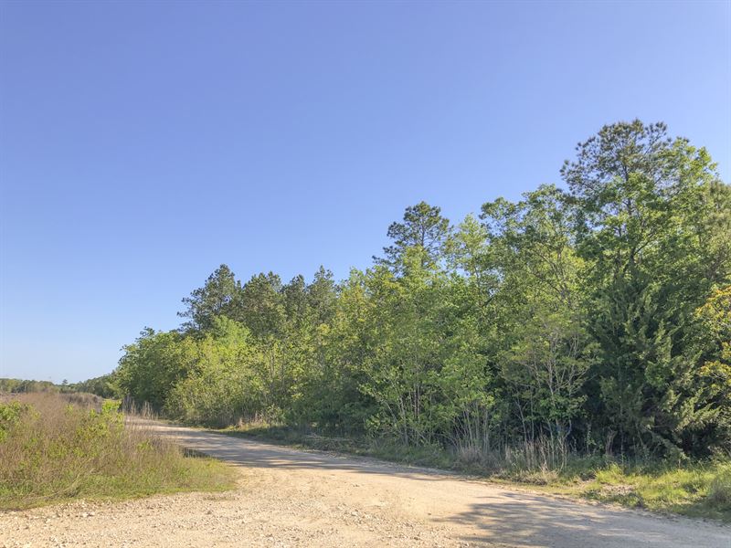 43 Acres Devers Woods : Devers : Liberty County : Texas