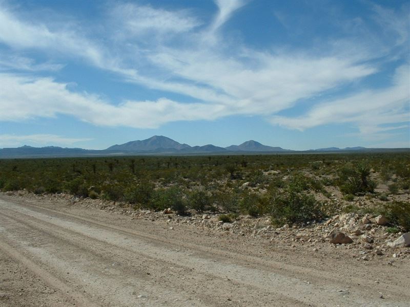 60 Acs Ranch Land, Only $328/Mo : Sierra Blanca : Hudspeth County : Texas