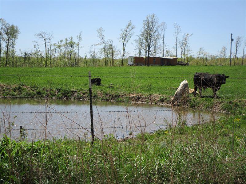 40 Acre Farm, Pasture, Woods, Pond : Birch Tree : Shannon County : Missouri