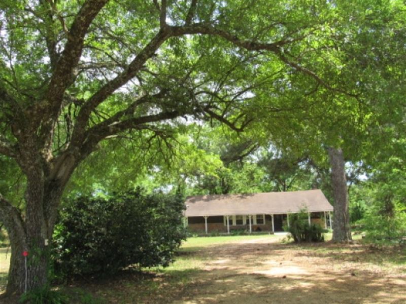 Home And 23.5 Acres Farm for Sale in Tylertown, Walthall County