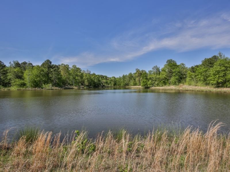 Penfield Plantation : Greensboro : Greene County : Georgia