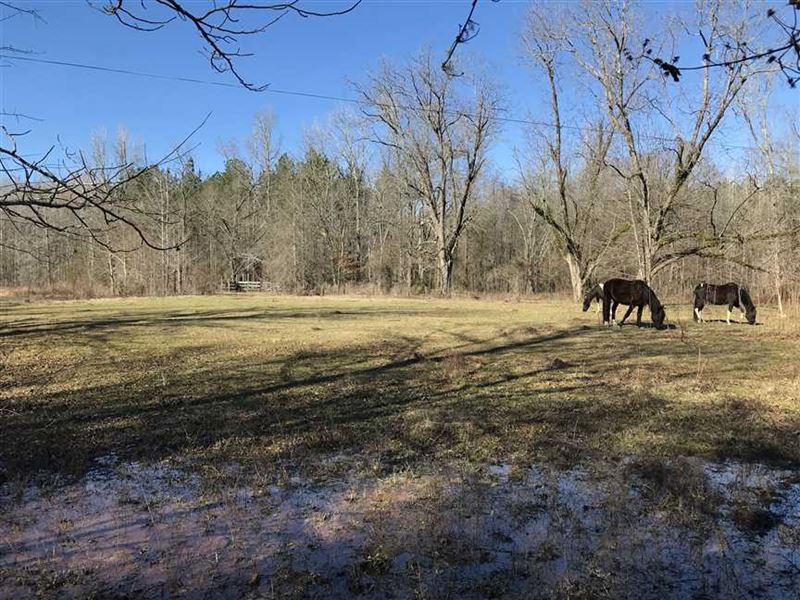 40 Acres in Sumter Co, AL on Pace : Belmont : Sumter County : Alabama