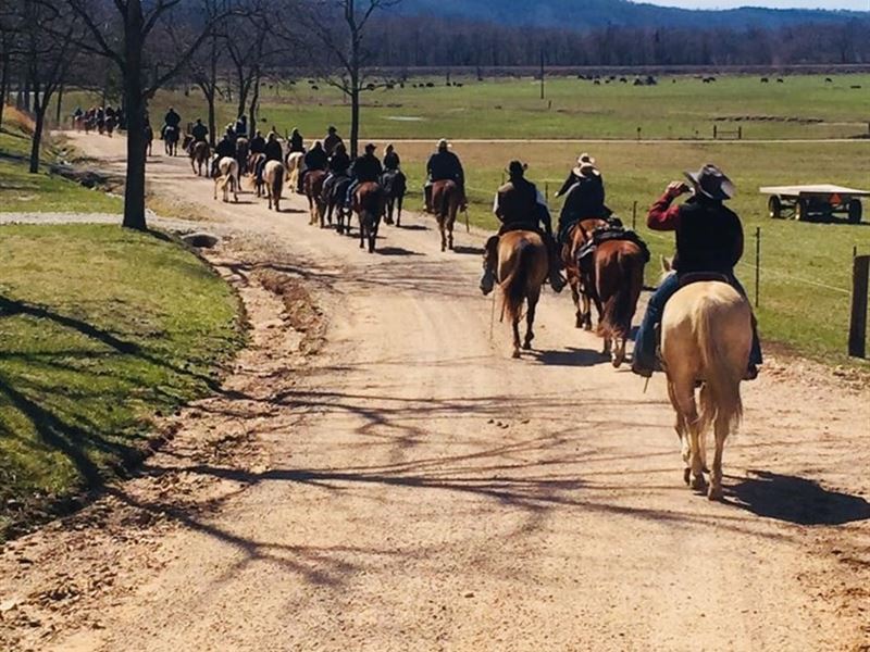 11 Acres / RV Hookups Horse Stalls : Eminence : Shannon County : Missouri