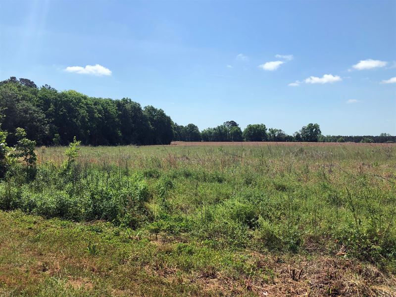Marlboro County Sc Tillable Land, Farm for Sale in South Carolina