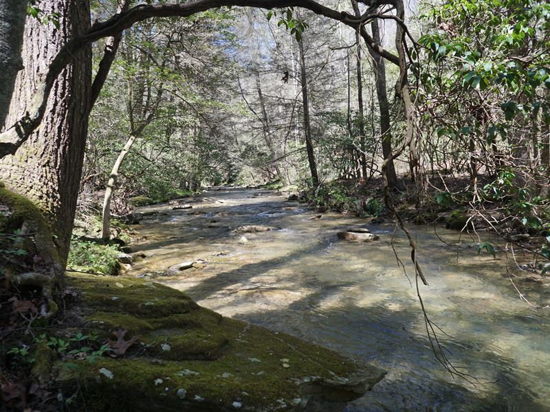 82 Acres South Suck Creek : Chattanooga : Marion County : Tennessee