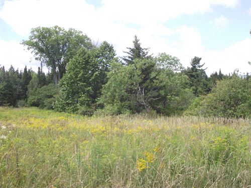 Boonville, New York, Lot 2 : Boonville : Oneida County : New York