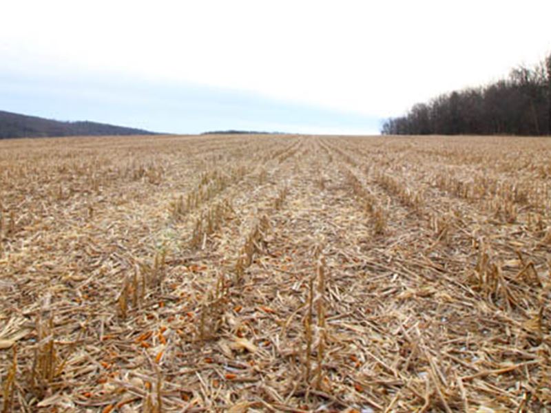 72 Acres Land, Great Views, Farm for Sale in Pennsylvania, 197494