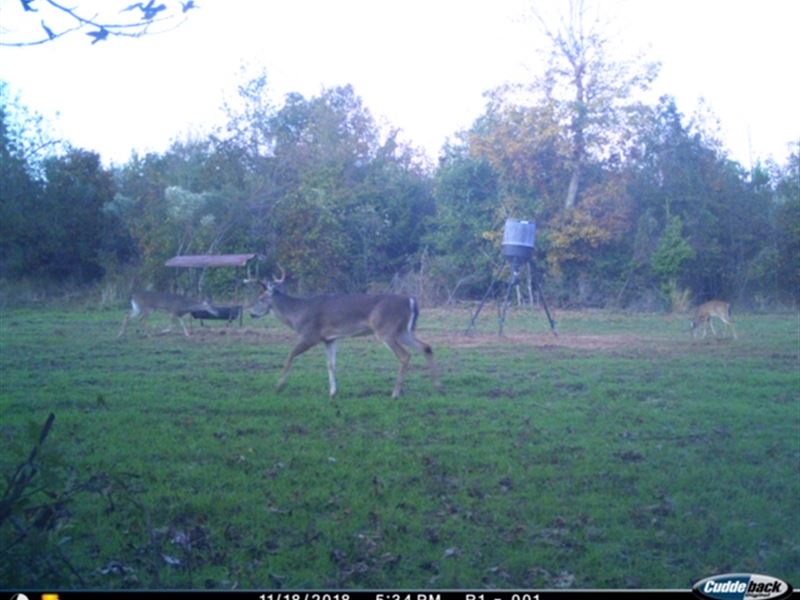 Parcel B Hwy 96 Hunting Tract : Irwinton : Wilkinson County : Georgia